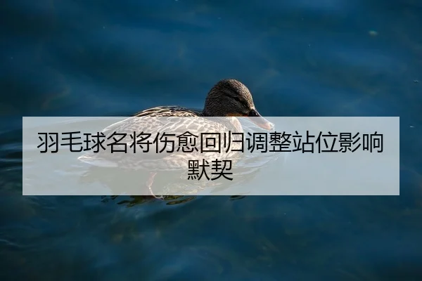 羽毛球名将伤愈回归调整站位影响默契